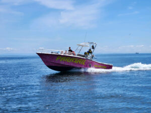 Port side of Catalina Xtreme Parasail boat on water with white wake behind on sunny day